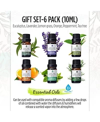 Pursonic 100% Pure Essential Aromatherapy Oils Gift Set-6 Pack , 10ML(Eucalyptus, Lavender, Lemon grass, Orange, Peppermint, Tea Tree)