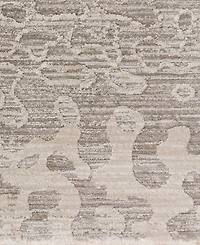 Dalyn Denizi DZ6 3'3" x 5'3" Area Rug