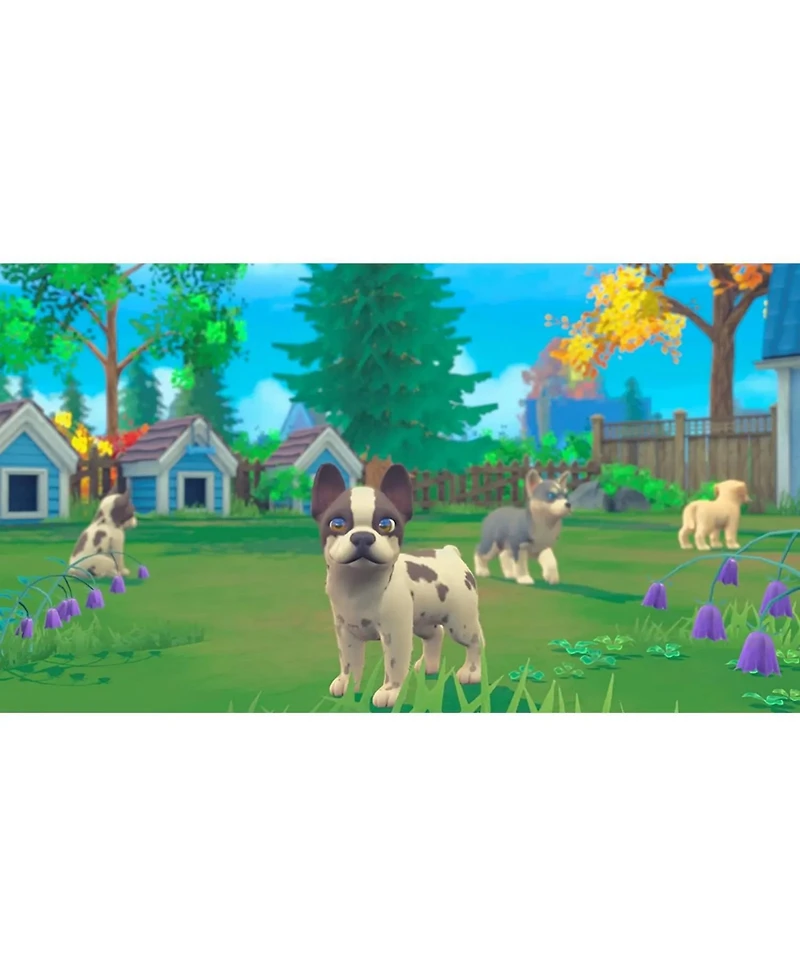 Maximum Games My Universe: Puppies and Kittens - Nintendo Switch