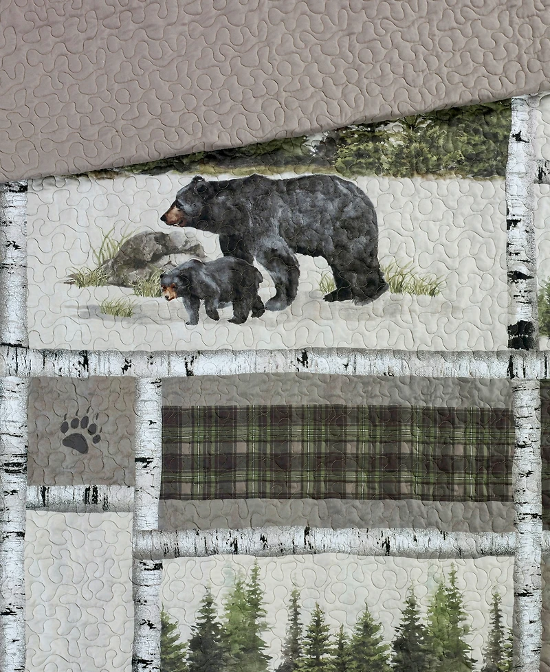 Donna Sharp Bear Panels 2 Piece Quilt Set, Twin