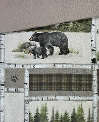 Donna Sharp Bear Panels 2 Piece Quilt Set, Twin