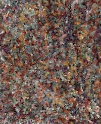 Oriental Weavers Axis Ax01a Area Rug