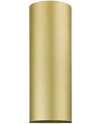 Livex Bond 1 Light Outdoor and Indoor Ada Large Sconce