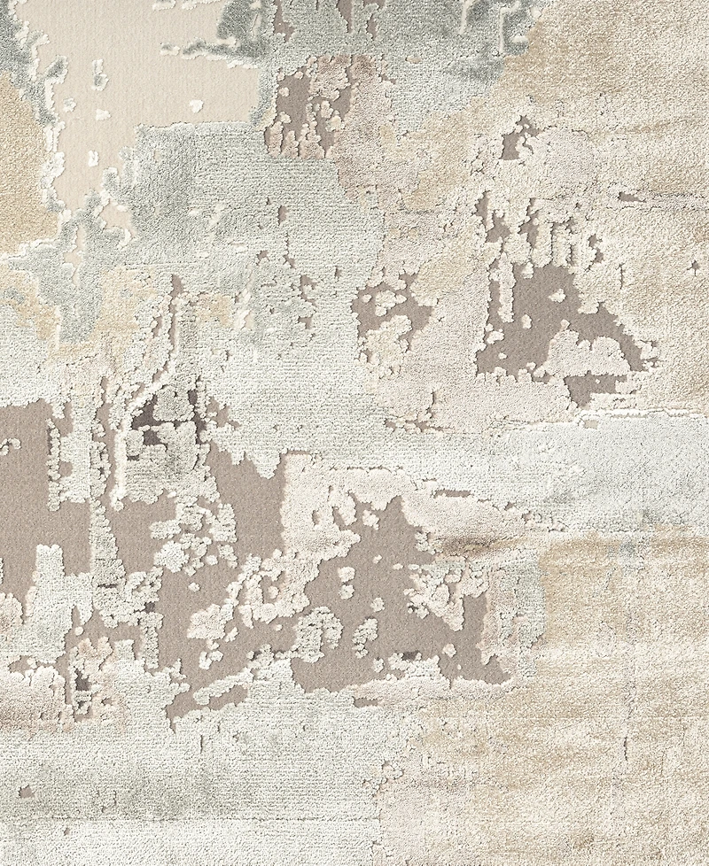 Lr Home Cheshire Chesh-127 2' x 3' Area Rug