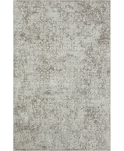 Lr Home Bienne BIENA285 4' x 6' Area Rug