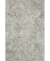 Lr Home Bienne BIENA285 4' x 6' Area Rug