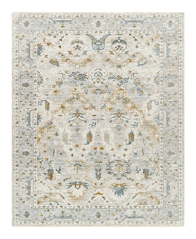 Livabliss Dresden Dre-2308 2'7" x 4' Area Rug