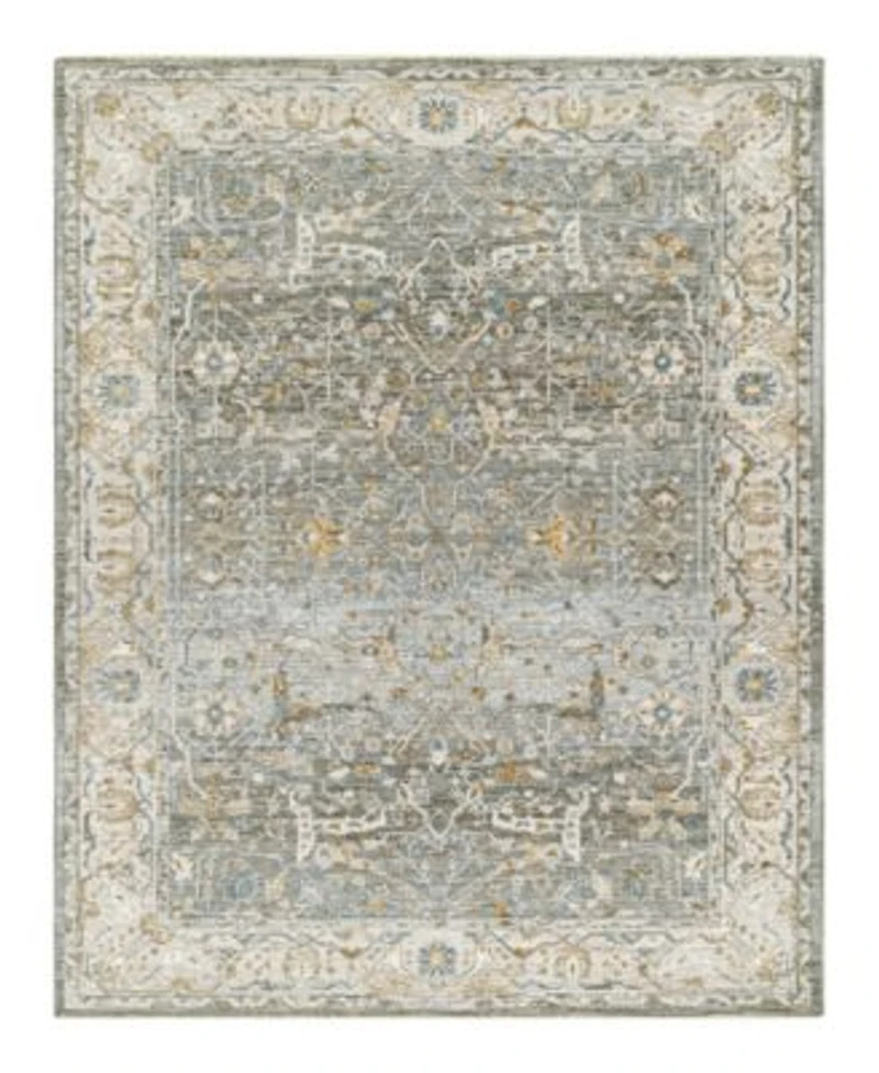 Livabliss Dresden Dre 2310 Area Rug