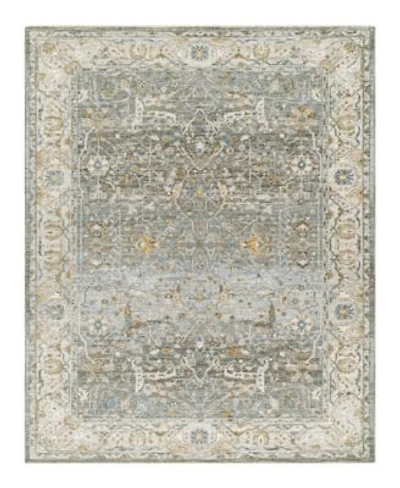 Livabliss Dresden Dre 2310 Area Rug