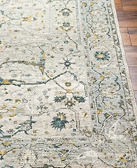 Livabliss Dresden Dre-2309 10' x 14' Area Rug