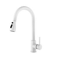 Kitchen Faucet With Pull Out Sprayer
