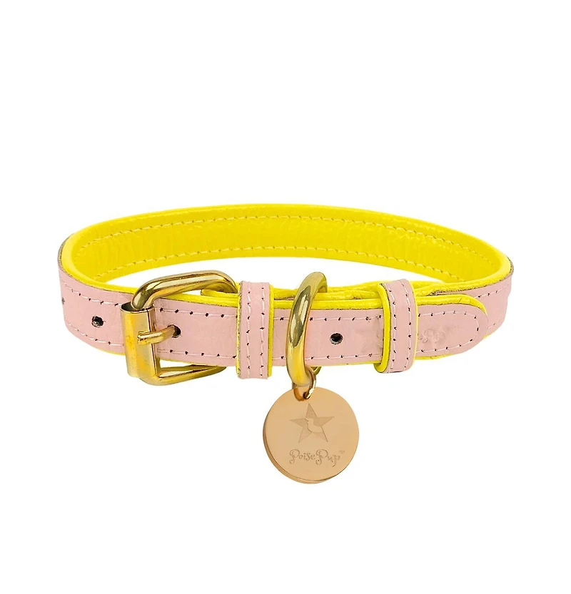 PoisePup Pet Dog Collar - Sweetest Thing