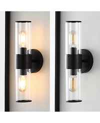 Quinn 15.5" 2-Light Farmhouse Industrial Iron, Acrylic Led Sconce