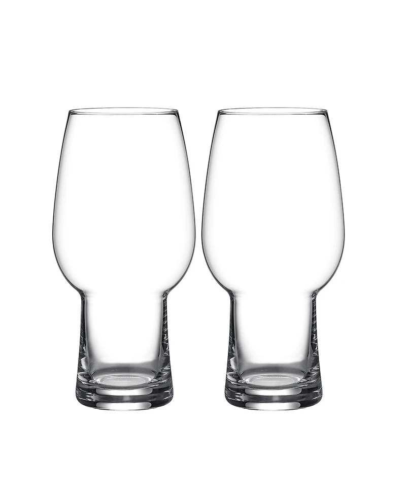 Waterford Craft Brew 2 Piece Ipa Glass Set, 16 oz