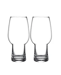 Waterford Craft Brew 2 Piece Ipa Glass Set, 16 oz
