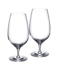 Waterford Craft Brew 2 Piece Stemmed Beer Glass, 20 oz
