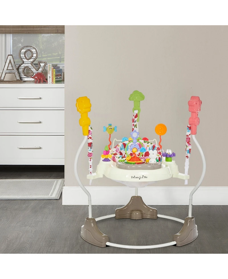 Dream On Me Zany 2-In-1 Activity And Center Bouncer
