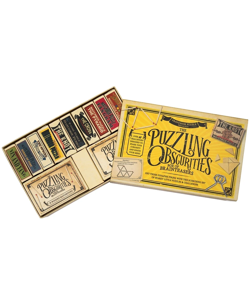 Professor Puzzle the Puzzling Obscurities Box of Brainteasers