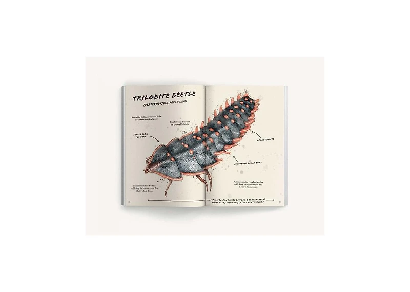 The Ultimate Bug Field Guide- The Entomologist's Handbook Bugs, Observations, Science, Nature, Field Guide by Julius Csotonyi Illustrator
