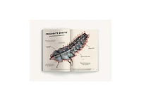 The Ultimate Bug Field Guide- The Entomologist's Handbook Bugs, Observations, Science, Nature, Field Guide by Julius Csotonyi Illustrator