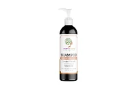 Nature's Syrup Beauty Sandalwood & Black Charcoal Shampoo, 9.7 Fl. Oz.
