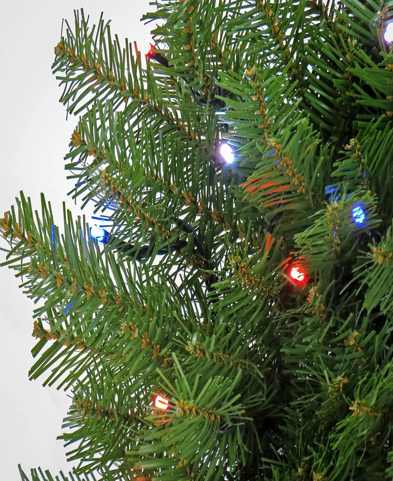 National Tree Company 30" Norwood Fir Wreath with Twinkly Led Lights