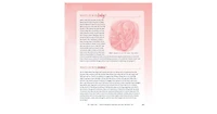 The Mama Natural Week-by-Week Guide to Pregnancy and Childbirth by Genevieve Howland