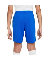 Big Boys Nike Royal Barcelona 2023/24 Away Stadium Performance Shorts
