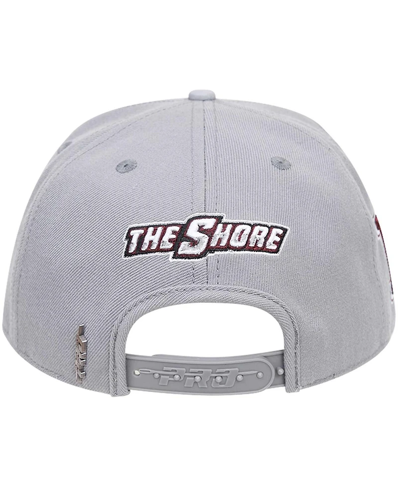 Men's Pro Standard Gray Maryland Eastern Shore Hawks Evergreen Mascot Snapback Hat