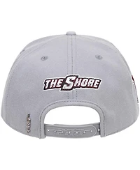 Men's Pro Standard Gray Maryland Eastern Shore Hawks Evergreen Mascot Snapback Hat