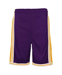 Big Boys Mitchell & Ness Purple Los Angeles Lakers Hardwood Classics Swingman Shorts