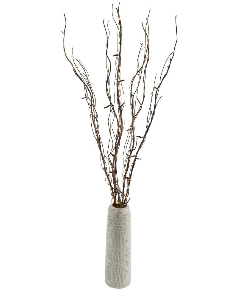 Northlight 39" Light Emitting Diode (Led) Lighted Natural Branch Bundle Christmas Decoration Warm Lights