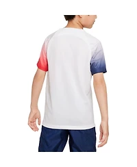 Big Boys Nike White Paris Saint-Germain 2023/24 Academy Pro Performance Pre-Match Top