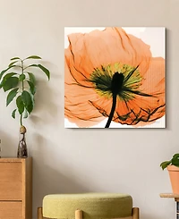Empire Art Direct "Poppy Orange" Frameless Free Floating Tempered Glass Panel Graphic Wall Art, 24" x 24" x 0.2"