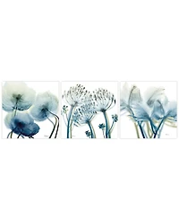 Empire Art Direct Unfocused Beauty 1 2 3 Frameless Free Floating Tempered Glass Panel Graphic Wall Art, 24" x 24" x 0.2" Each