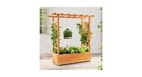 Raised Garden Bed with Trellis or Climbing Plant and Pot Hanging-Natural