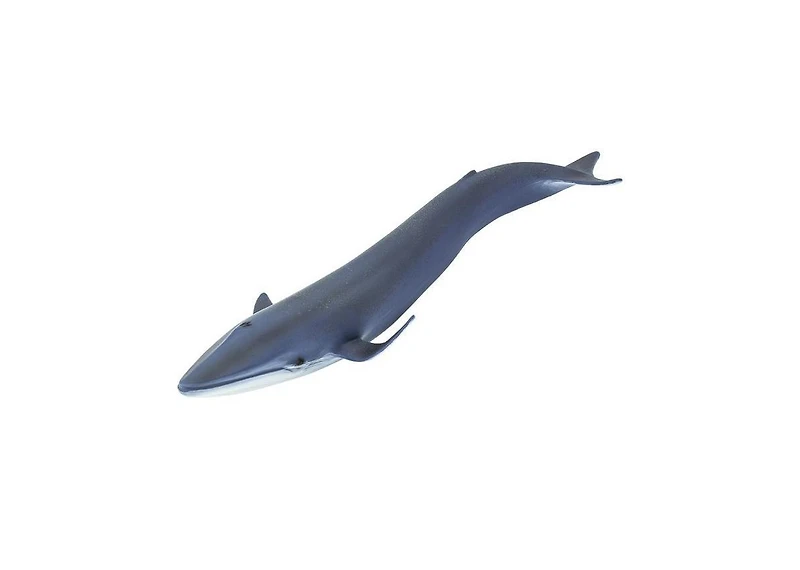 Safari Ltd Blue Whale Sea Life