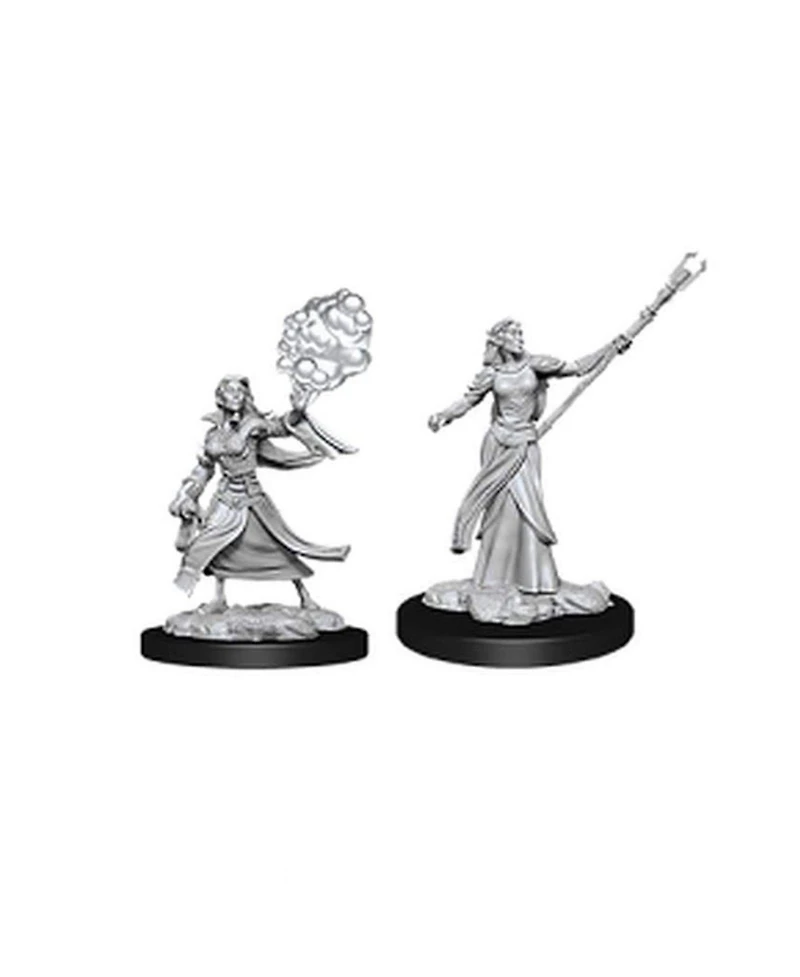 Dungeons and Dragons Female Elf Sorcerer Nolzur's Marvelous Miniatures