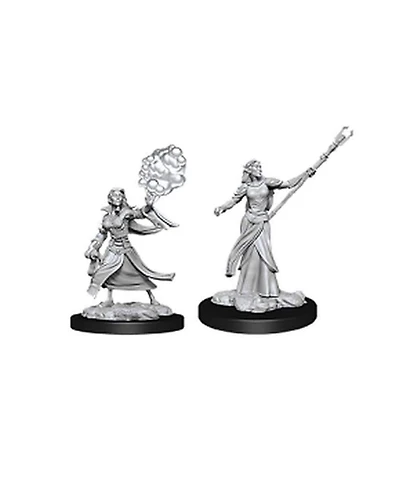 Dungeons and Dragons Female Elf Sorcerer Nolzur's Marvelous Miniatures