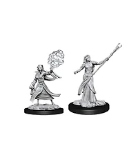 Dungeons and Dragons Female Elf Sorcerer Nolzur's Marvelous Miniatures