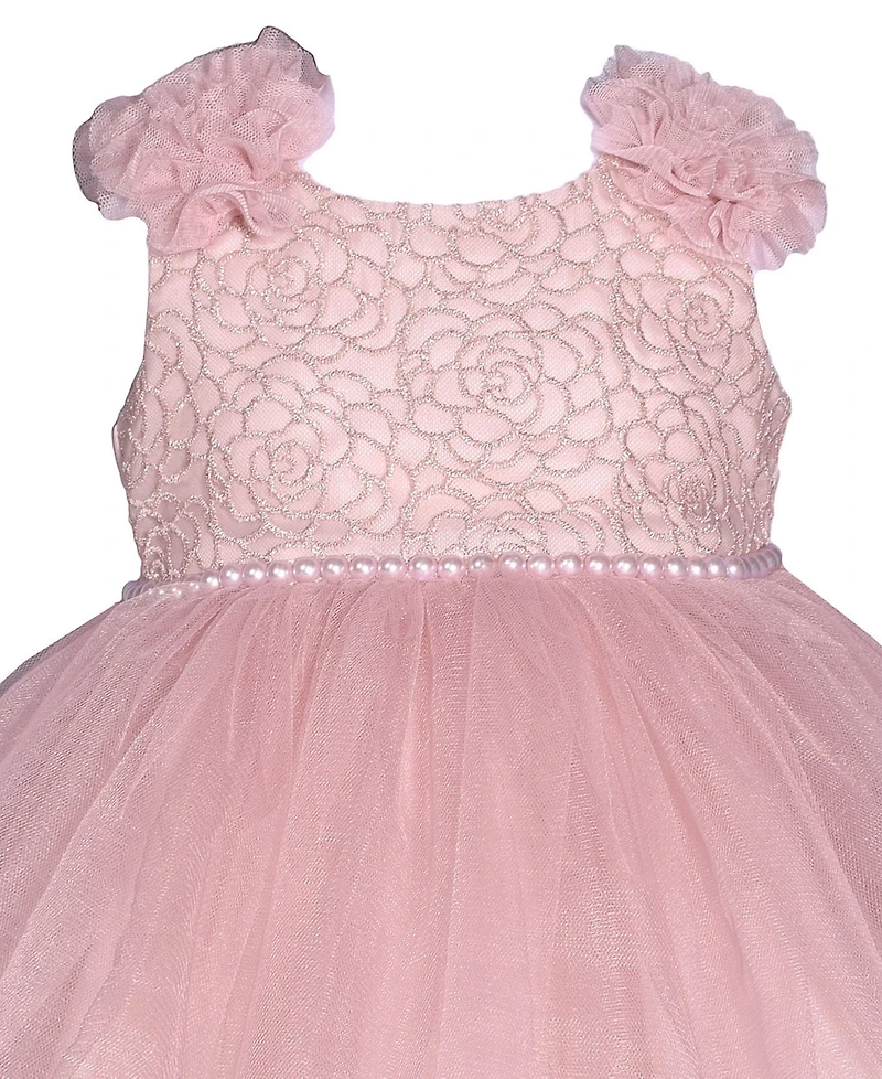 Bonnie Baby Girls Sleeveless Embroidered Bodice Dress with Mesh Skirt