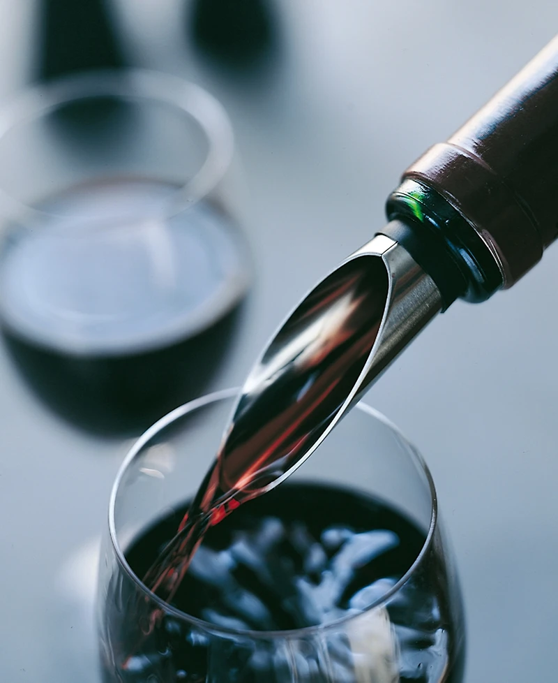 Rosendahl Grand Cru Stainless Steel Wine Pourer