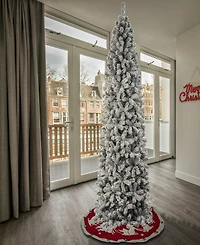 National Tree Company First Traditions 9' Acacia Flocked Tree