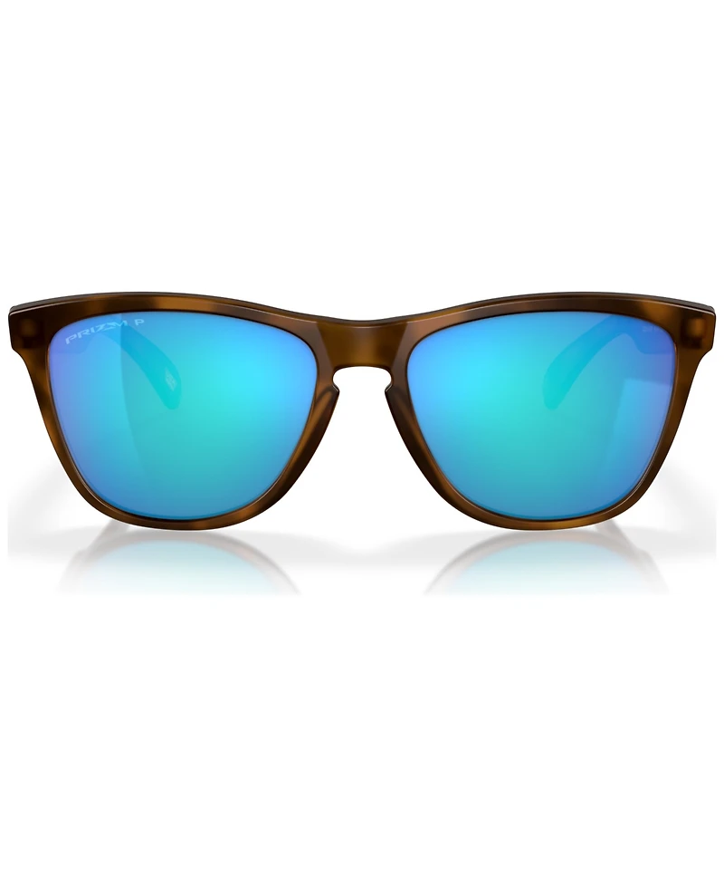 Oakley Men's Frogskins Polarized Sunglasses, Mirror Polar OO9013
