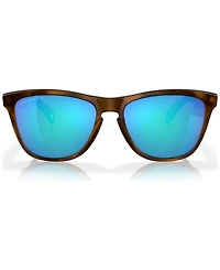 Oakley Men's Frogskins Polarized Sunglasses, Mirror Polar OO9013