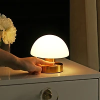 Zoe Bohemian Farmhouse Iron Rechargeable Integrated Led Table Lamp