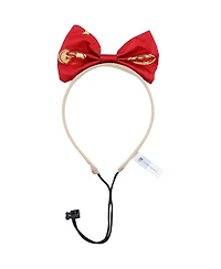 San Francisco 49ers Cheer Dog Costume