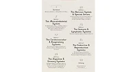 Anatomicum- Welcome to the Museum by Jennifer Z. Paxton
