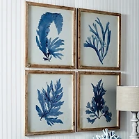 Framed Coral Watercolor Prints Set of 4