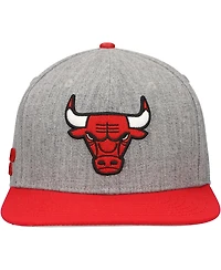 Men's Pro Standard Gray, Red Chicago Bulls Classic Logo Two-Tone Snapback Hat